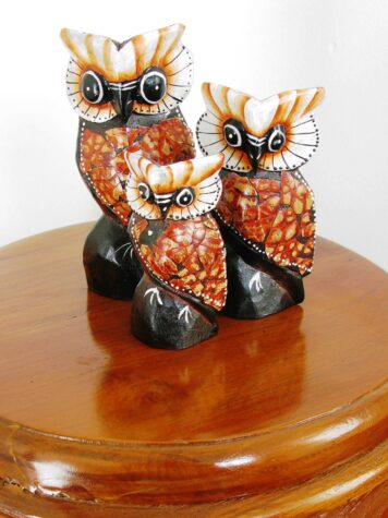 Osmond the owl set