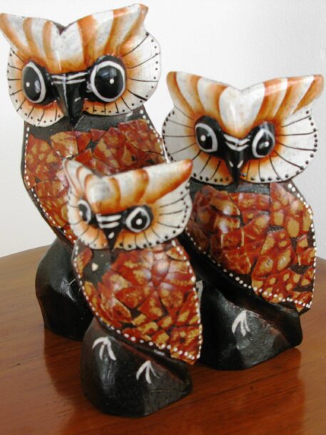 Osmond the owl set