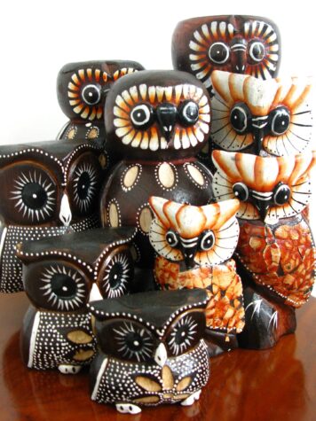 Owls
