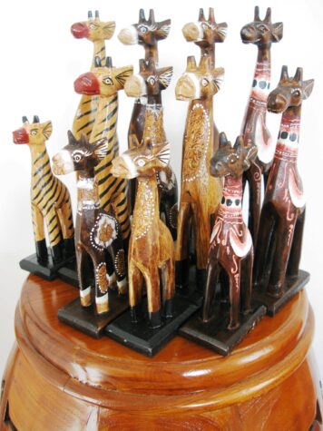Miniature Giraffes