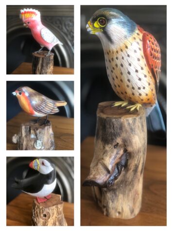 Birds