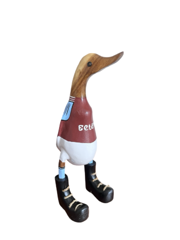 Aston Villa 25cm