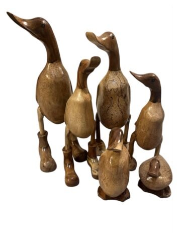 Natural Ducks